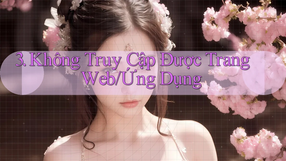 3. Không Truy Cập Được Trang Web/Ứng Dụng 3. Không Truy Cập Được Trang Web/Ứng Dụng