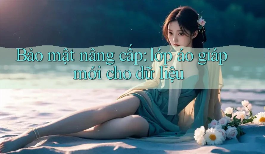 Bảo mật nâng cấp: lớp áo giáp mới cho dữ liệu