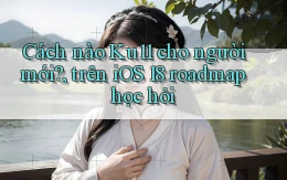 Cách nào Ku11 cho người mới, trên iOS 18 roadmap học hỏi