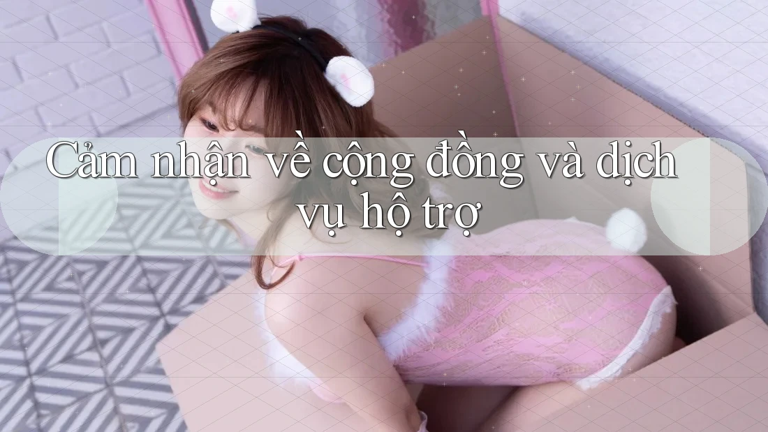 Cảm Nhận Về Cộng Đồng Và Dịch Vụ Hỗ Trợ