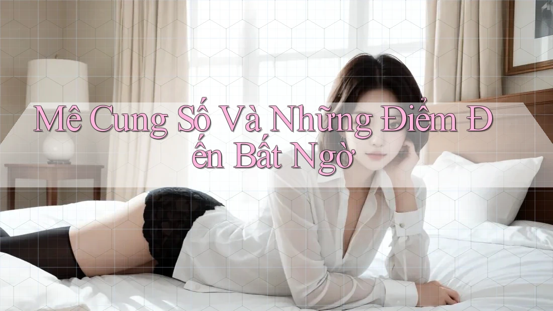 Mê Cung Số Và Những Điểm Đến Bất Ngờ