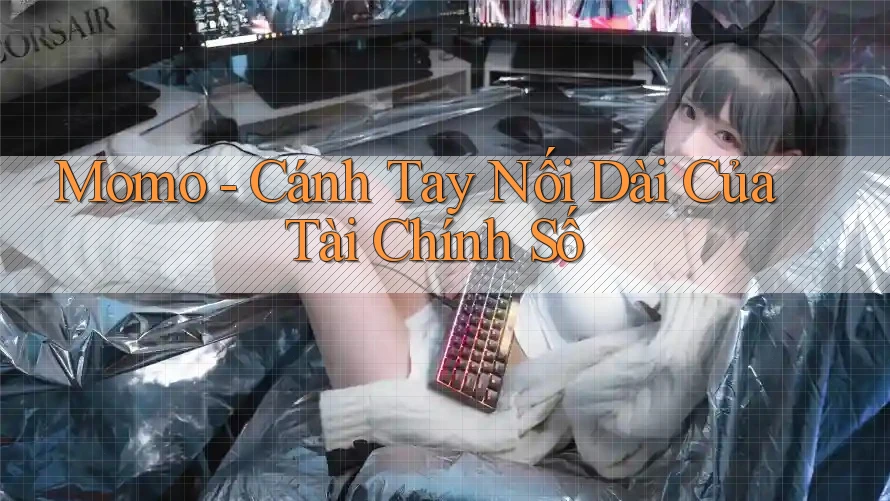 Momo - Cánh Tay Nối Dài Của Tài Chính Số