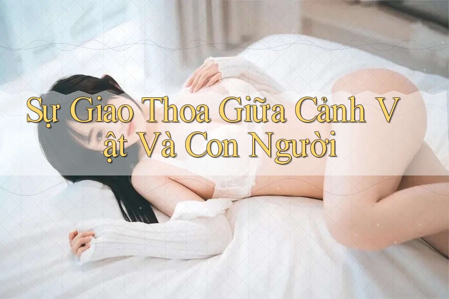 Sự Giao Thoa Giữa Cảnh Vật Và Con Người Sự Giao Thoa Giữa Cảnh Vật Và Con Người