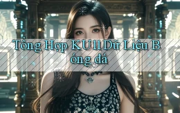 tổng hợp ku11 dữ liệu bóng đá